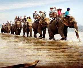 Loading image avatar: DU LỊCH TÂ...